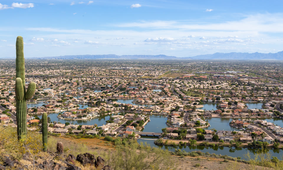 A saguaro cactus overlooking Glendale, Arizona's lake neighborhoods with the Phoenix skyline in the distance